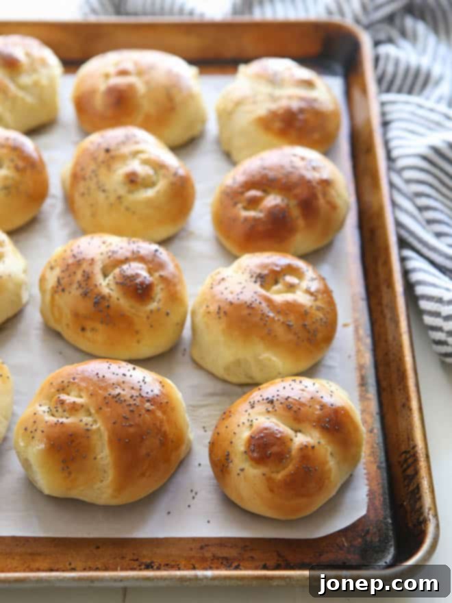 Hand-formed knotted challah rolls rising on a baking sheet before their final bake