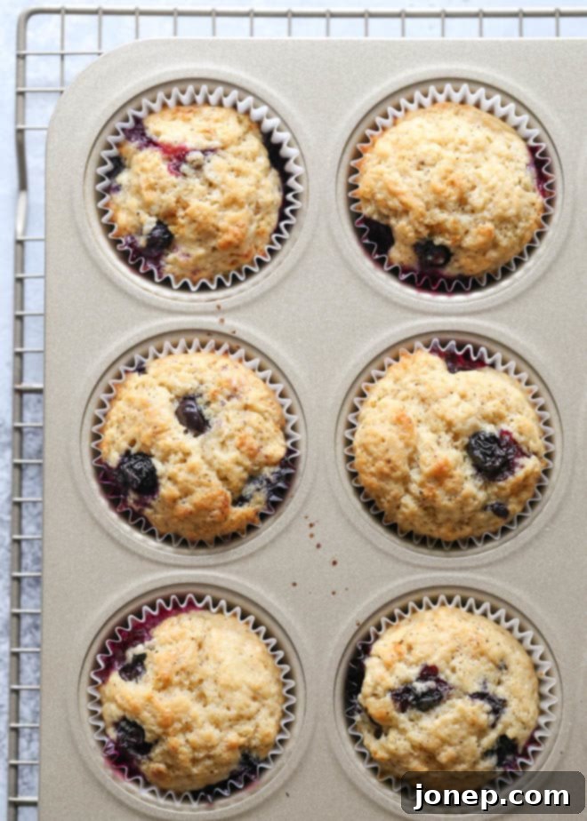 Perfectly baked golden-domed blueberry muffins