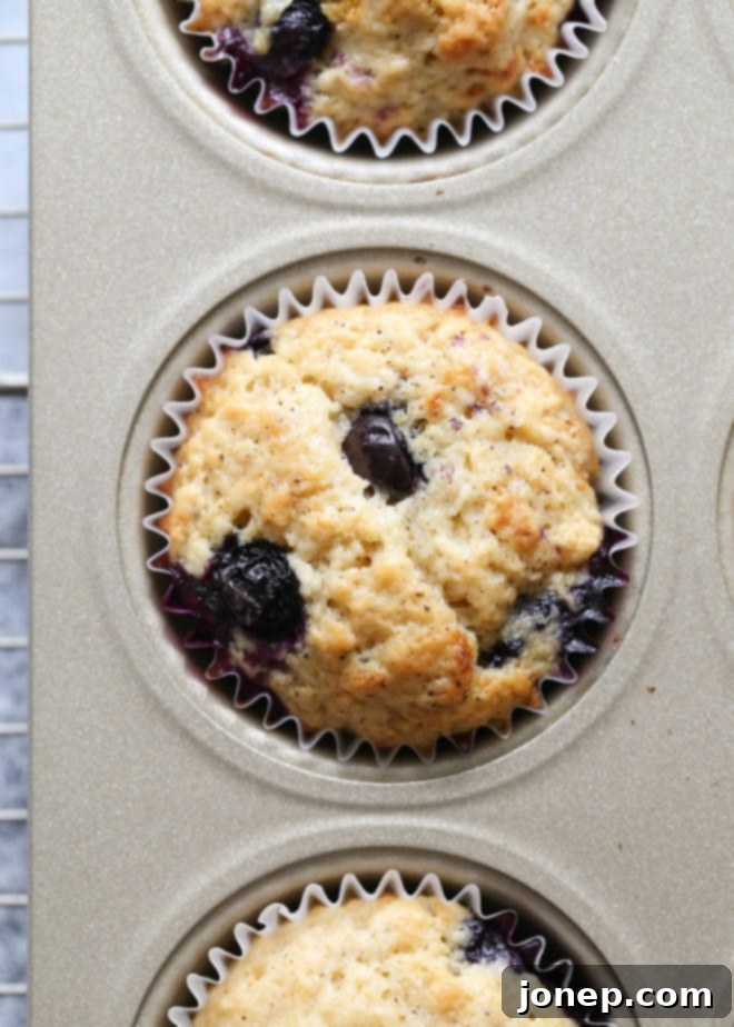 Blueberry muffins cooling on a wire rack after baking