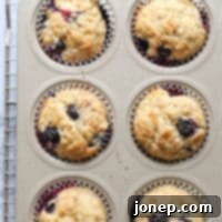Golden Blueberry Delights 6 Classic homemade blueberry muffins