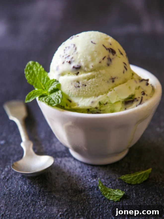 Mint Chocolate Chip Ice Cream is a classic!