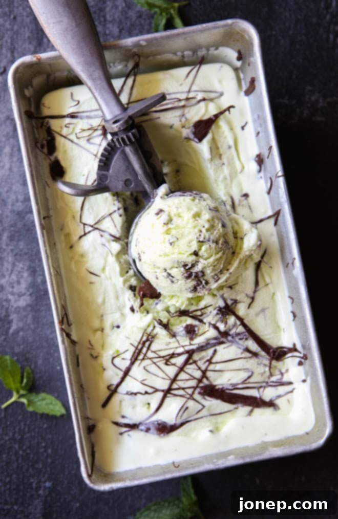 Homemade mint chocolate chip ice cream is so much better than store-bought!