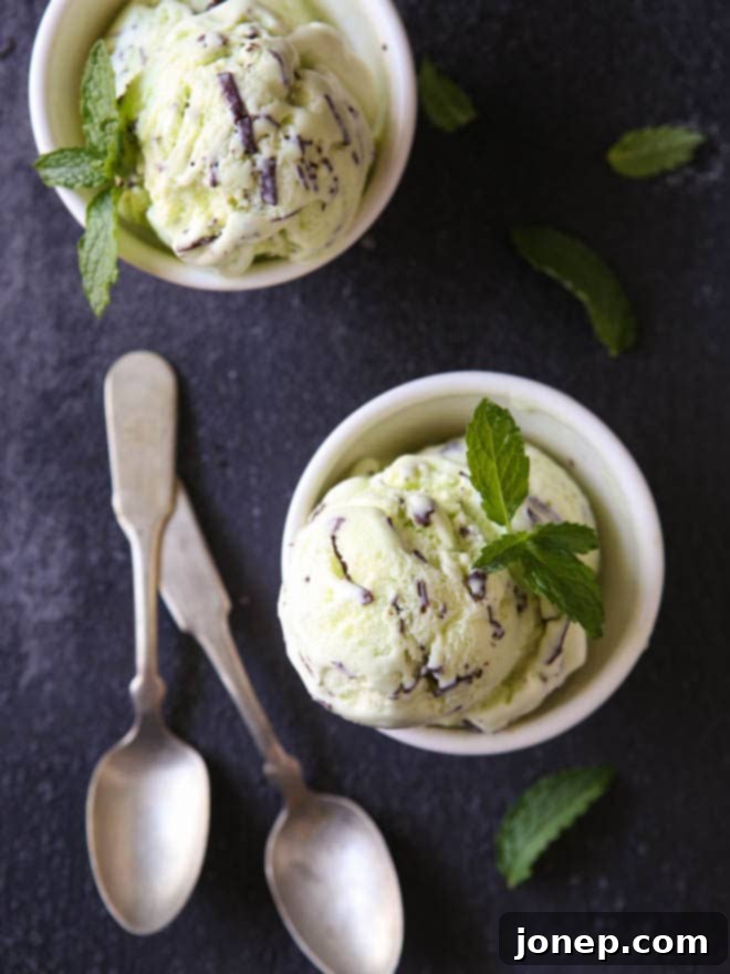 Homemade mint chocolate chip ice cream!