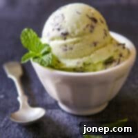 Mint Chocolate Chip Ice Cream is a classic!