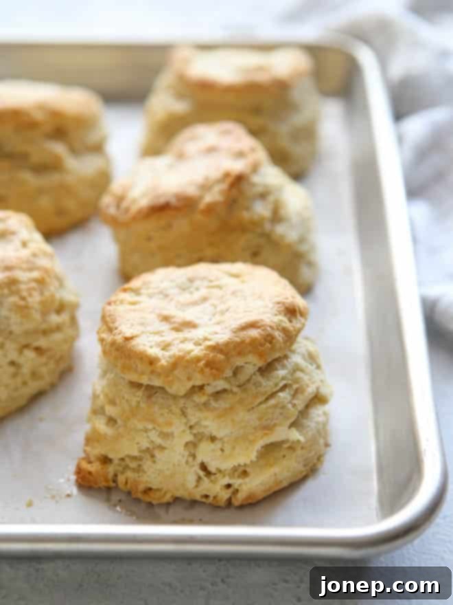 Mastering Butter Baking 4 Easy Buttermilk Biscuits | completelydelicious.com