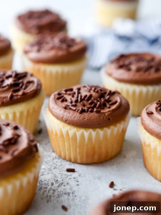 Soft and fluffy vanilla cupcakes with fudge buttercream frosting