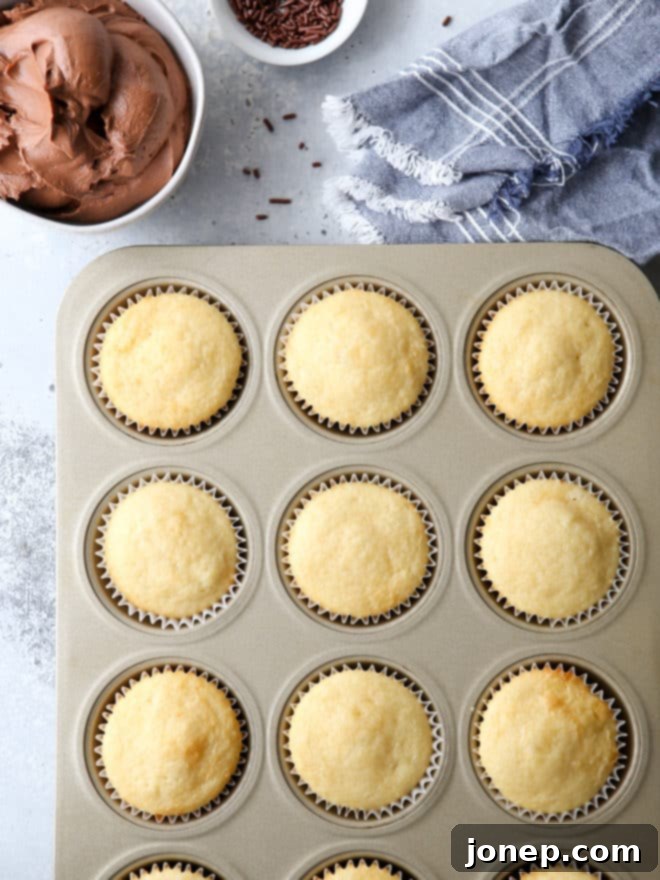 Soft and fluffy vanilla cupcakes with fudge buttercream frosting