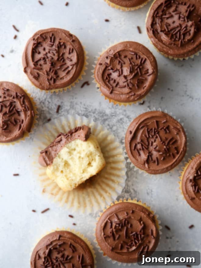Soft and fluffy vanilla cupcakes with fudge buttercream frosting
