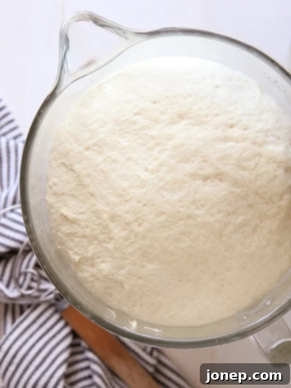 Close-up of freshly baked Parker House Rolls