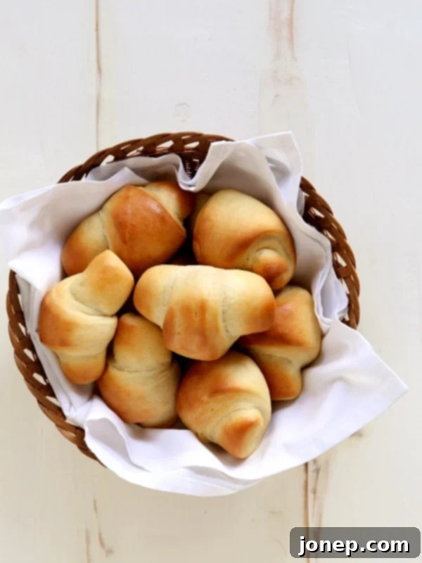 Fluffy Crescent Dinner Rolls