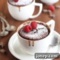 Close-up of a Two-Minute Chocolate Mug Cake, still warm and in a mug