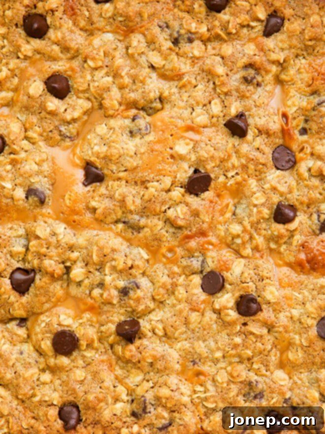Golden Caramel Chocolate Chip Oat Squares 3 closeup of baked caramel chocolate chip oat bars in pan