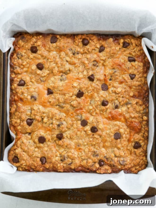 Golden Caramel Chocolate Chip Oat Squares 5 caramel chocolate chip oat bars baked in pan