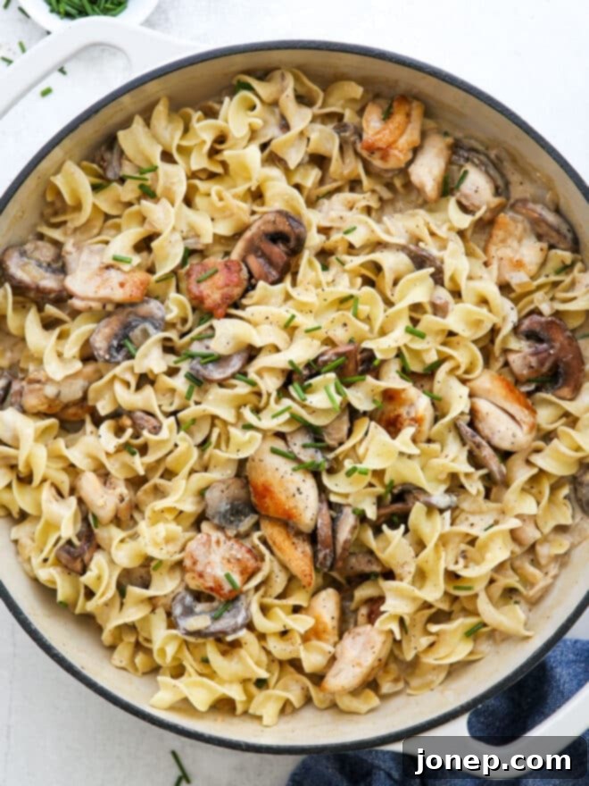 Creamy Chicken Mushroom Stroganoff 2 chicken mushroom stroganoff in white pan