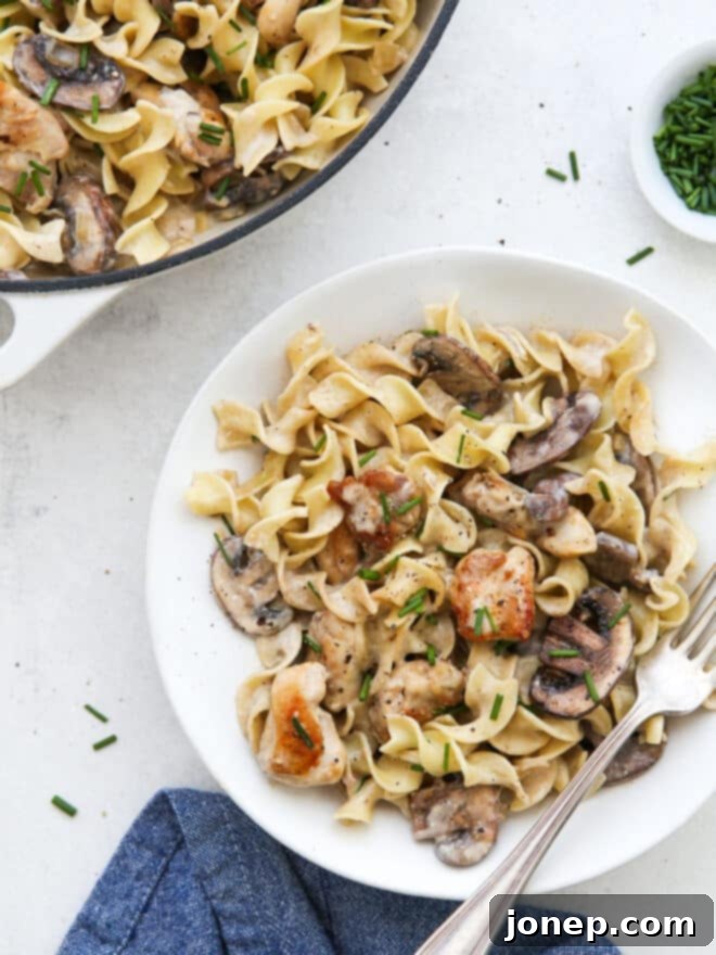 Creamy Chicken Mushroom Stroganoff 3 chicken mushroom stroganoff served on a plate with fork