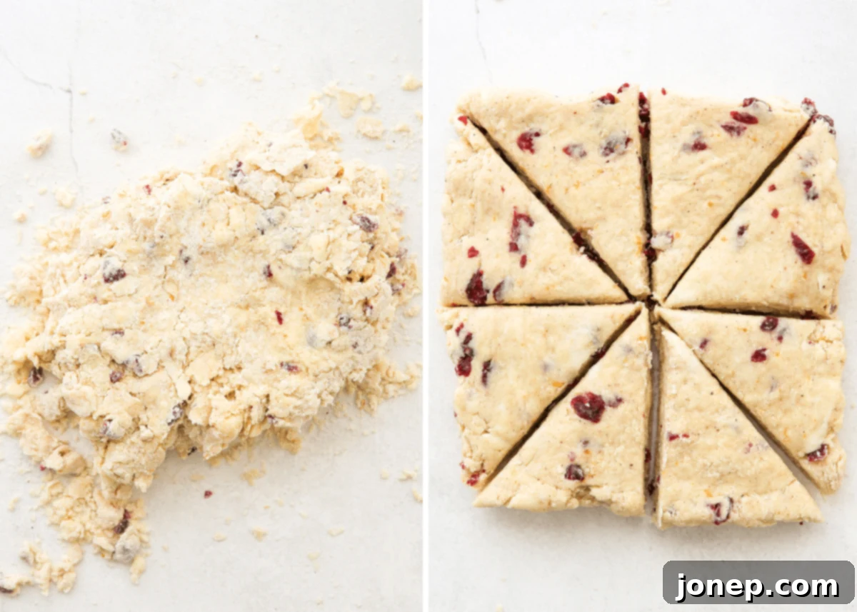 Eggnog Cranberry Scones
Festive Cranberry Eggnog Scones 6 Shaping eggnog scones into dough and cutting them into wedges before baking.